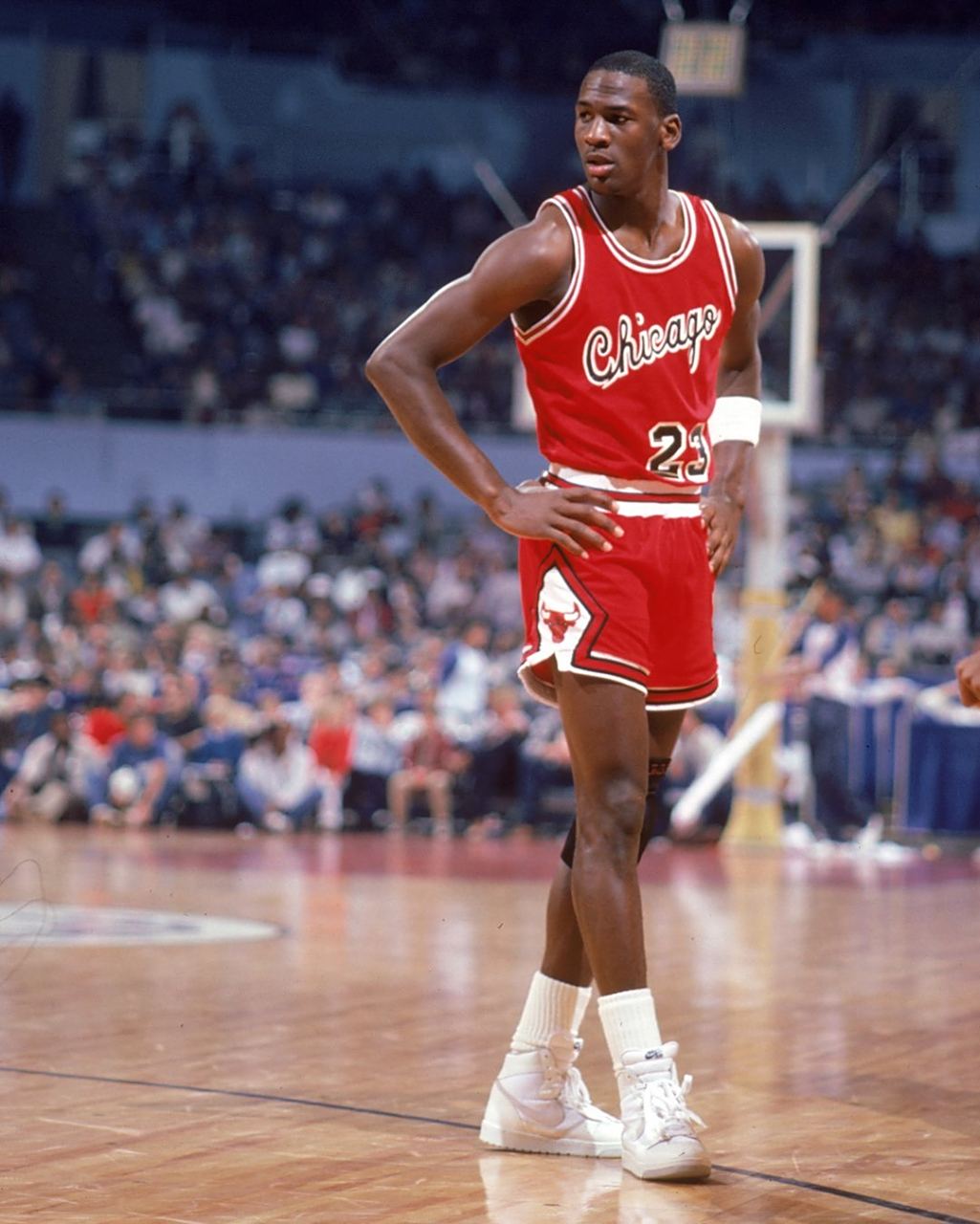 他们不仅夺 他们不仅夺