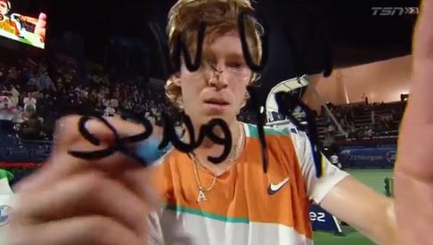 今年的亮点 今年的亮点